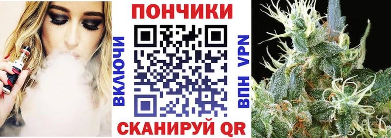 Шишки марихуана план  Гусиноозёрск 